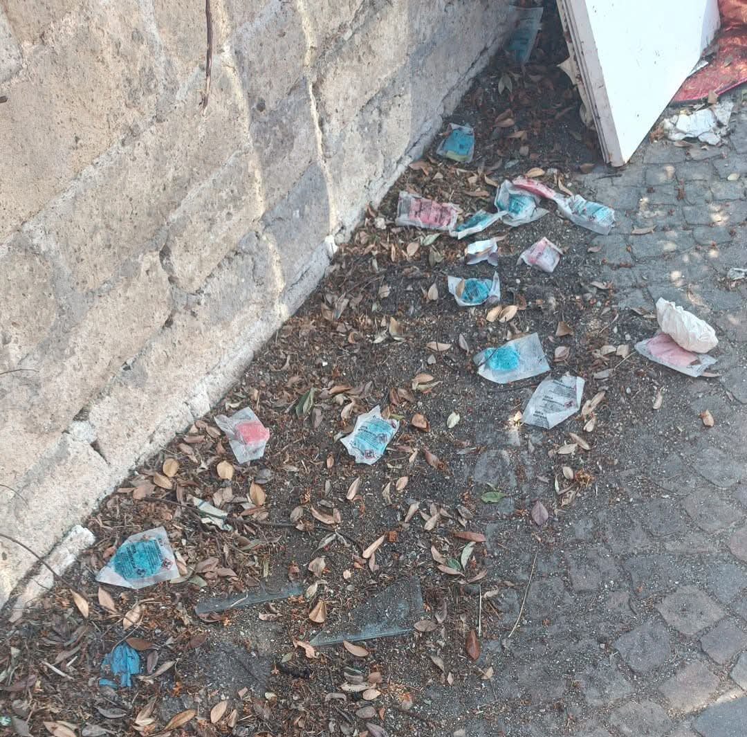 POZZUOLI/ Veleno per animali in strada, gravi due cani ad Arco Felice: appello dell’AMPA al comune «Intervenite»