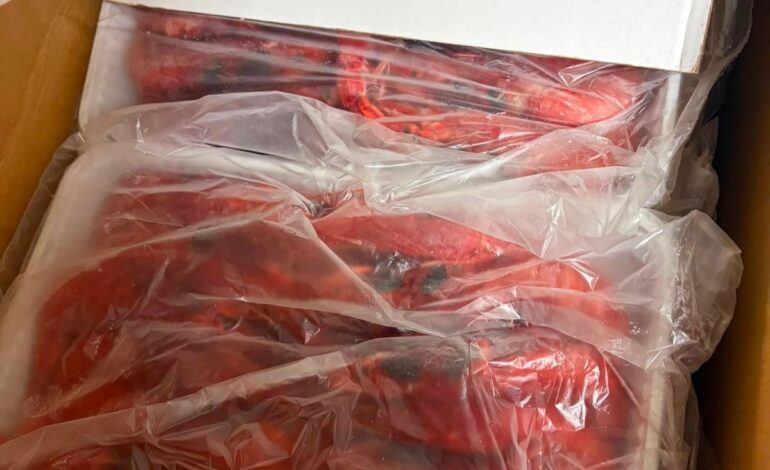 Sequestrata una tonnellata di gambero rosso nel porto di Pozzuoli