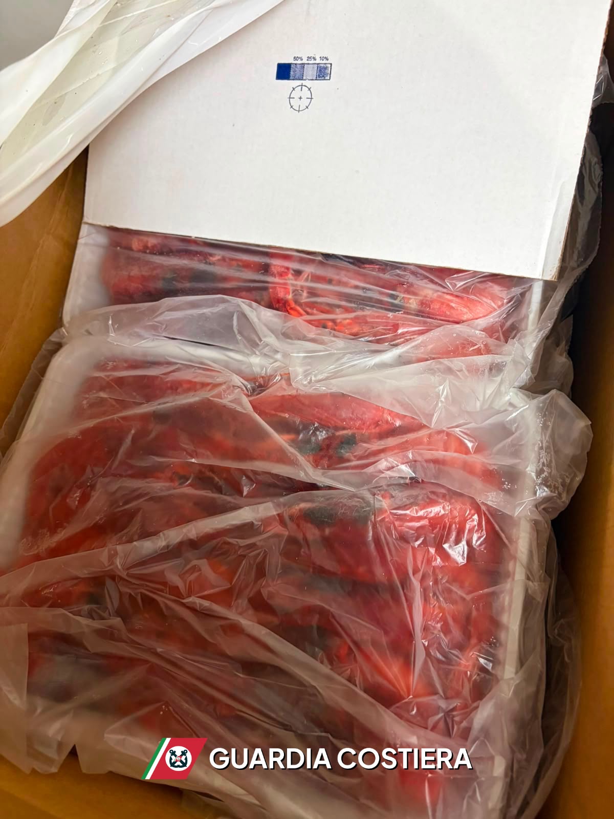 Sequestrata una tonnellata di gambero rosso nel porto di Pozzuoli