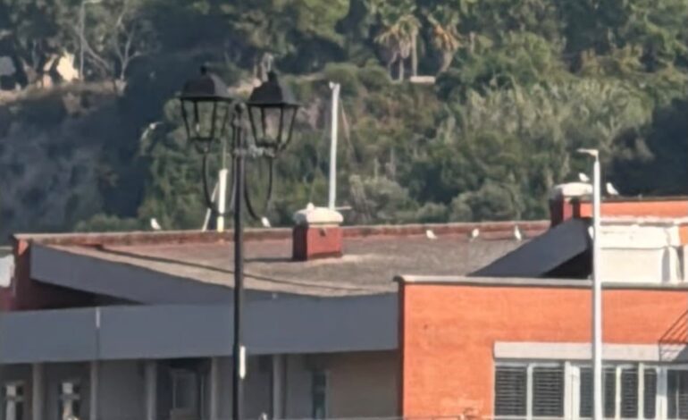 Pozzuoli, danni al Mercato Ittico all’ingrosso: chiuso per motivi di sicurezza
