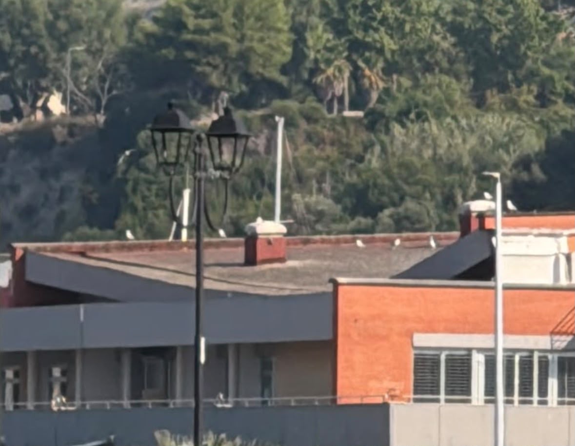 Pozzuoli, danni al Mercato Ittico all’ingrosso: chiuso per motivi di sicurezza