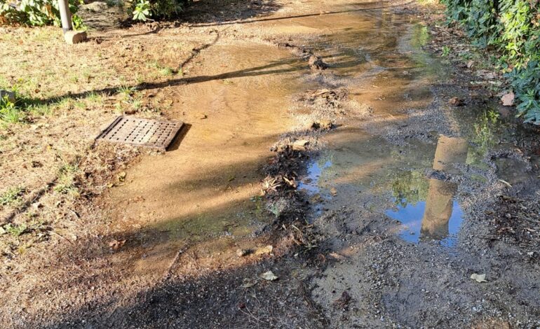 POZZUOLI/ «Perdita d’acqua da venerdì sera: segnalata a tutti, ma nessuno è intervenuto»