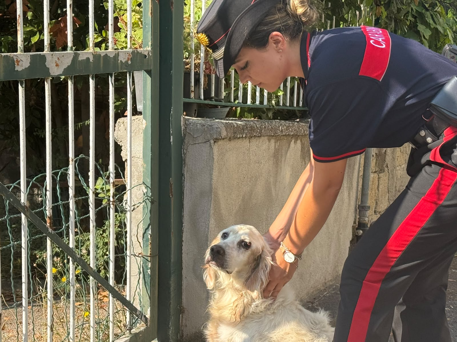 POZZUOLI/ Carabinieri salvano un cane nel “Parco Olivetti”