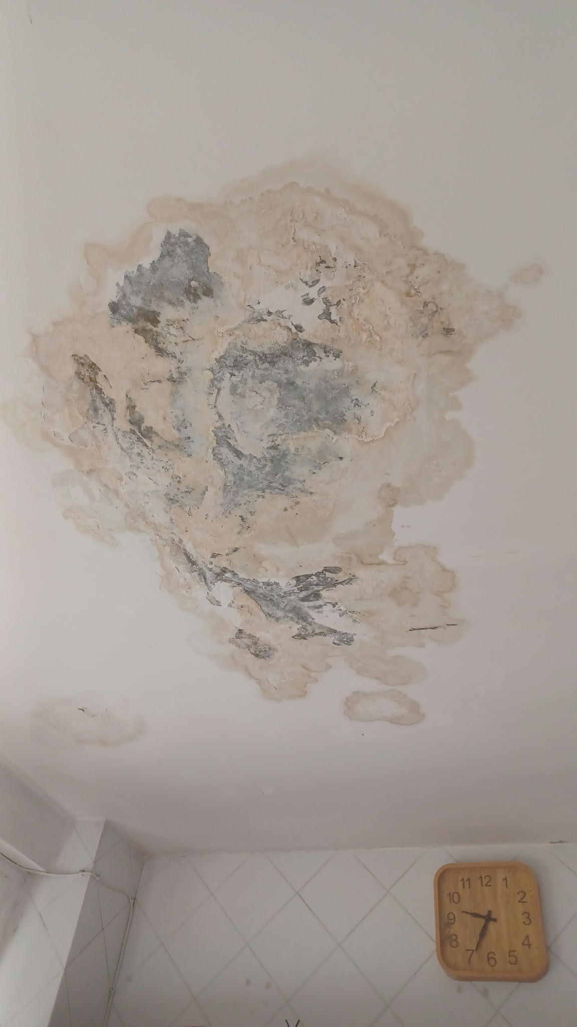 POZZUOLI/ Lavori flop nei palazzi popolari di Monterusciello: infiltrazioni d’acqua dopo la prima pioggia