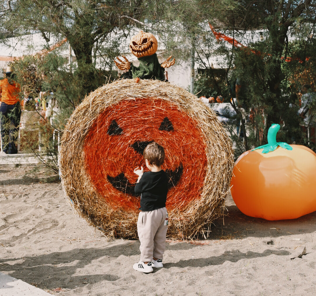 La spiaggia di Lucrino si trasforma nella casa delle zucche: a Pozzuoli il primo villaggio autunnale dedicato a tutta la famiglia – LE FOTO