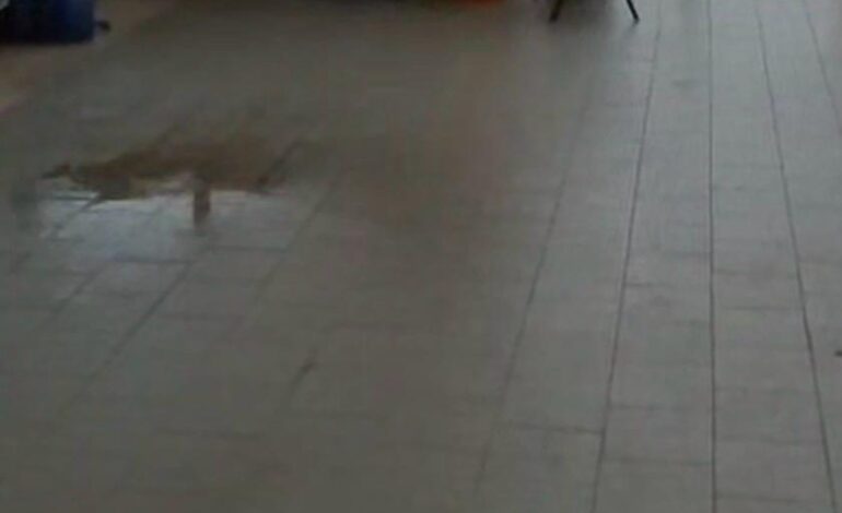 BACOLI/ «Perdite d’acqua dal soffitto della scuola “Plinio il Vecchio” al Fusaro»