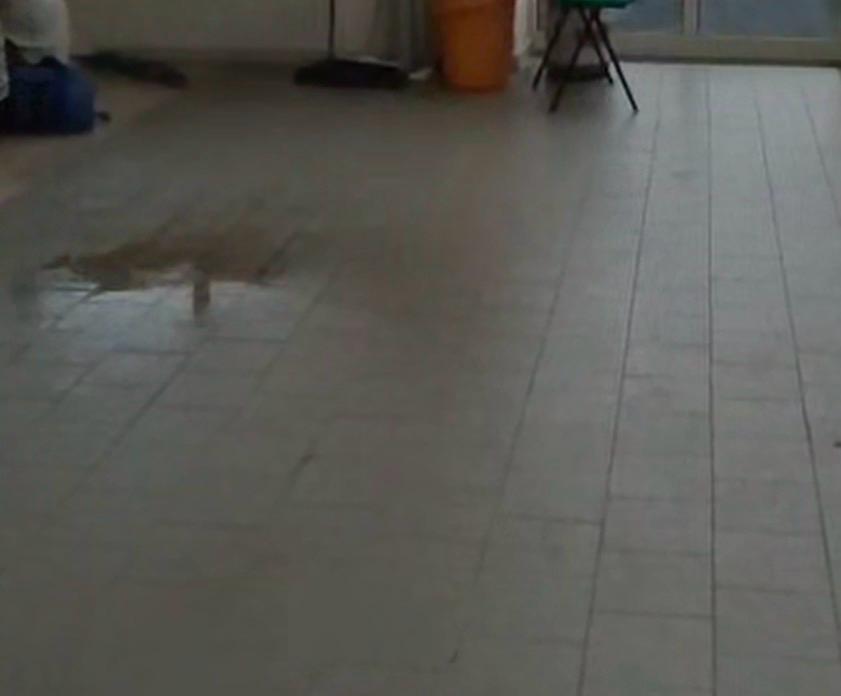 BACOLI/ «Perdite d’acqua dal soffitto della scuola “Plinio il Vecchio” al Fusaro»