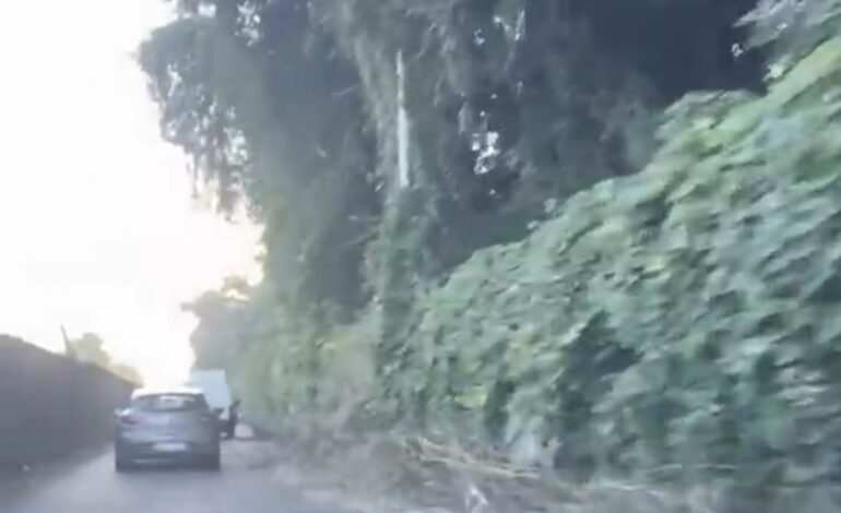 POZZUOLI/ «Sterpaglie tagliate e non rimosse da due settimane in via Reginelle»