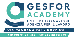 GSF-BANNER-250x120